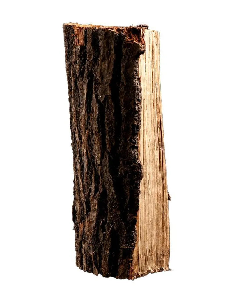 Brennholz Birke 50 cm – 2 RM auf Palette | kammergetrocknet