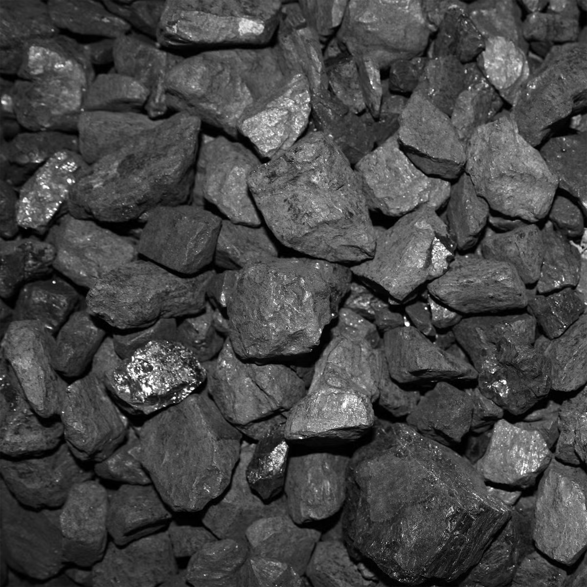 ANMAG Kokskohle 20-40 mm 750 kg (50 x 15 kg) 1 Palette