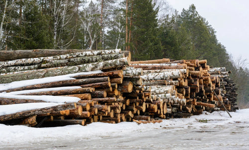 Stammholz Nadelholz – LKW-Lieferung